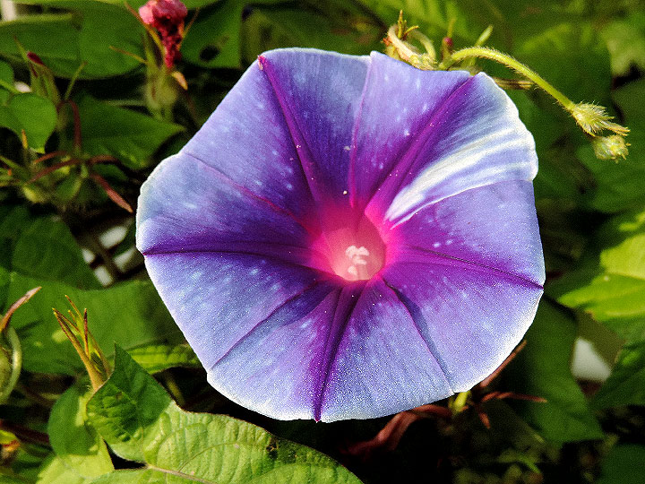 DSCN2501