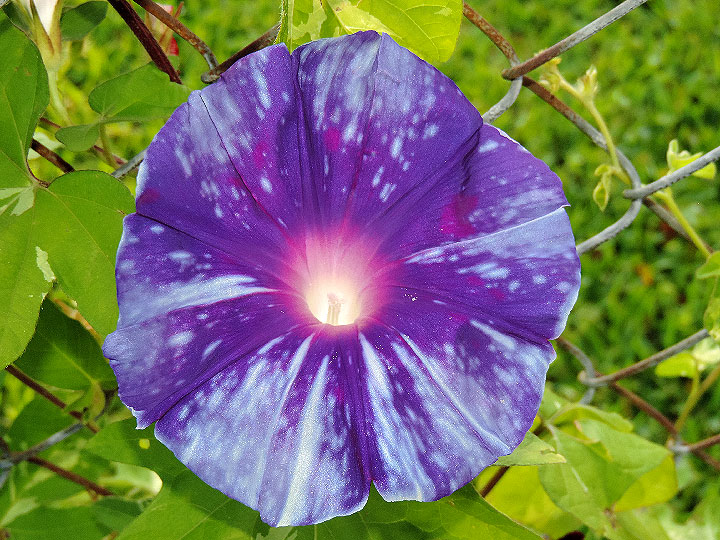 DSCN2533