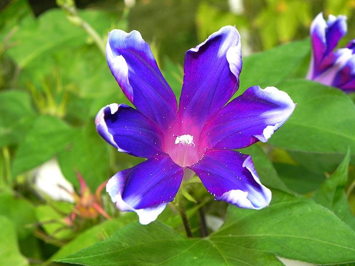 DSCN2538