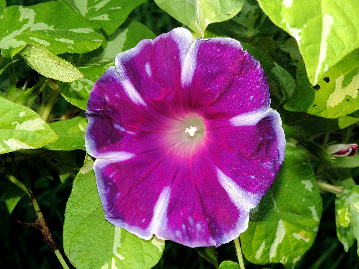 DSCN2573