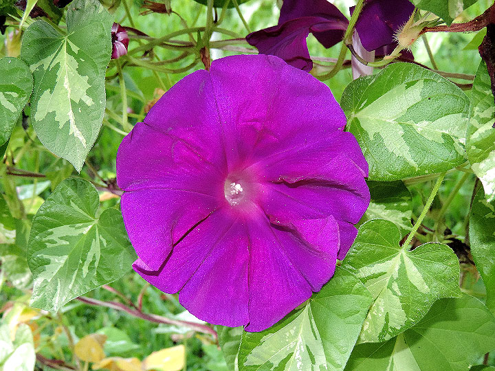 DSCN2584