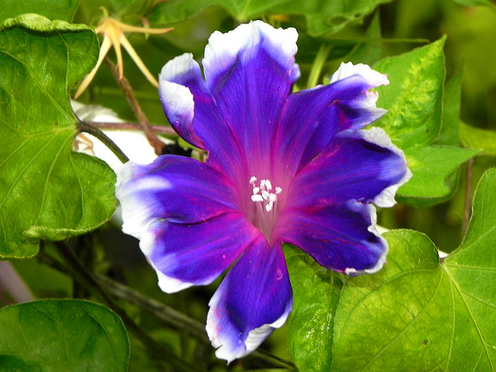 DSCN2676