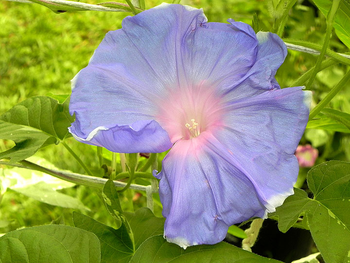DSCN2765