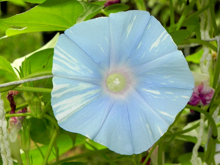 DSCN2774