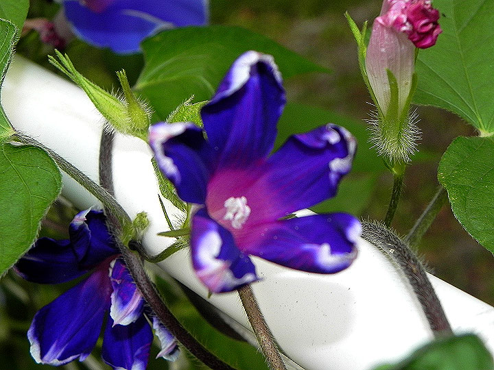 DSCN2808