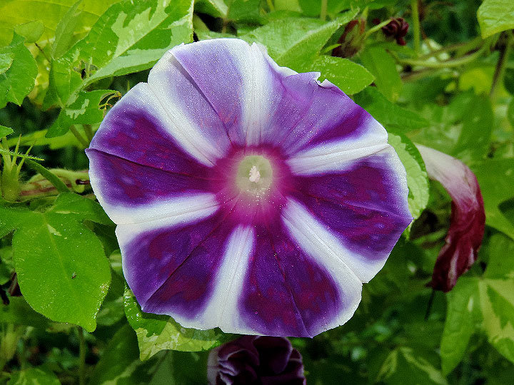 DSCN2887