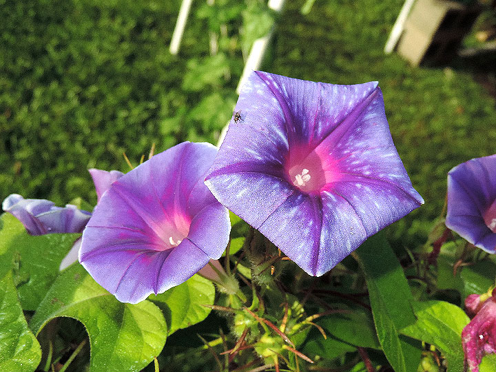DSCN2924