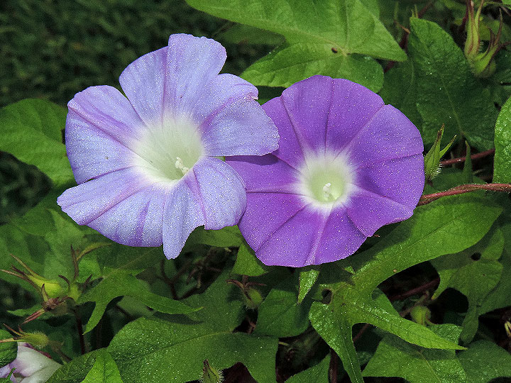 DSCN3014