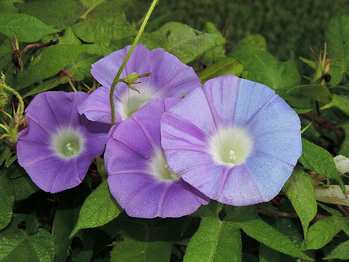 DSCN3015
