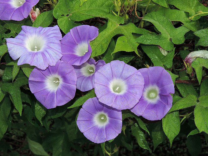 DSCN3016