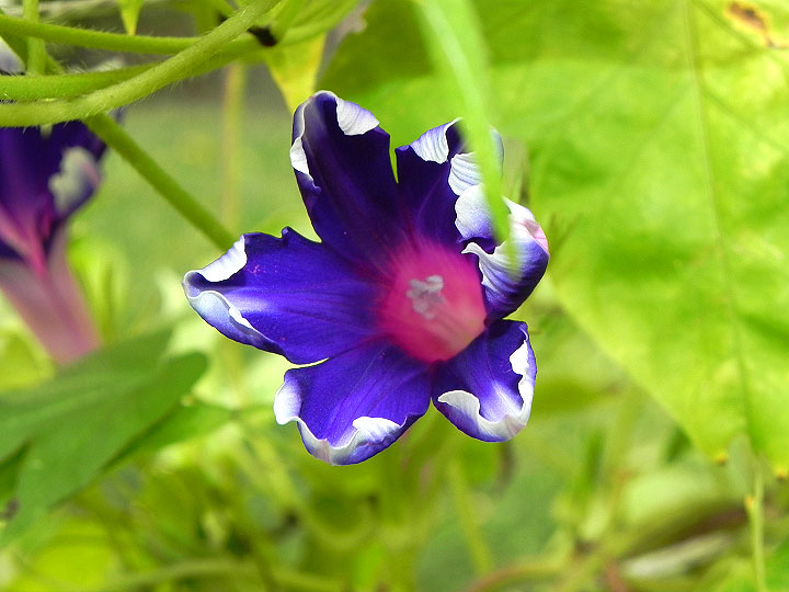 DSCN3050