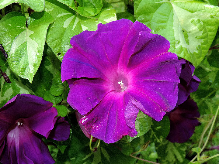 DSCN3051