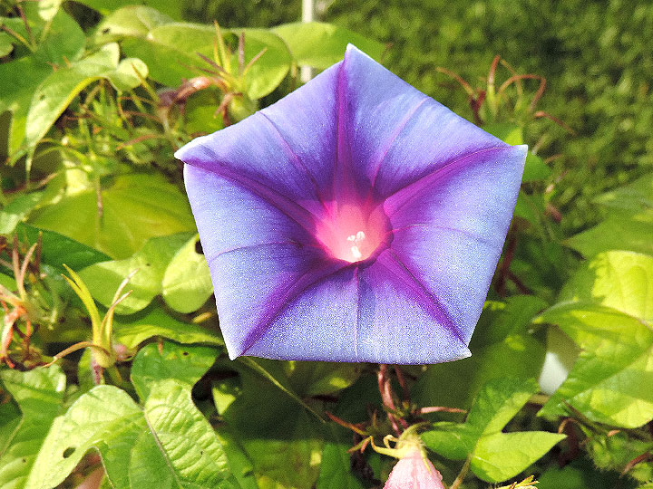 DSCN3073_01