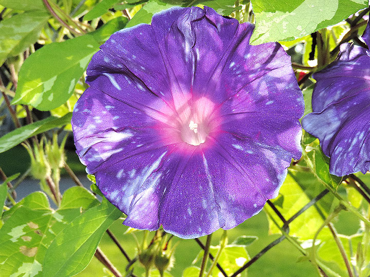 DSCN3093