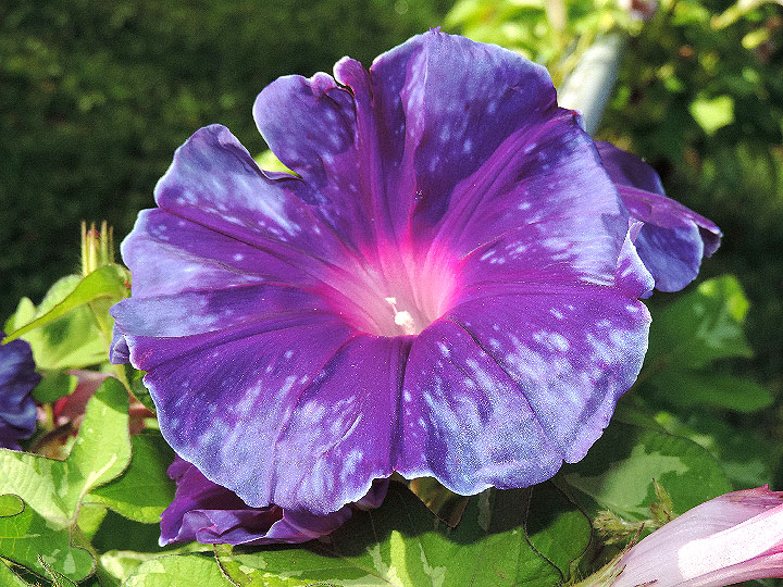 DSCN3094