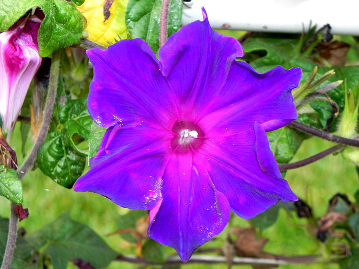 DSCN3118