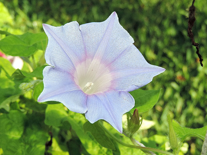 DSCN3120