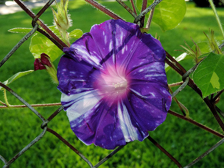 DSCN3198