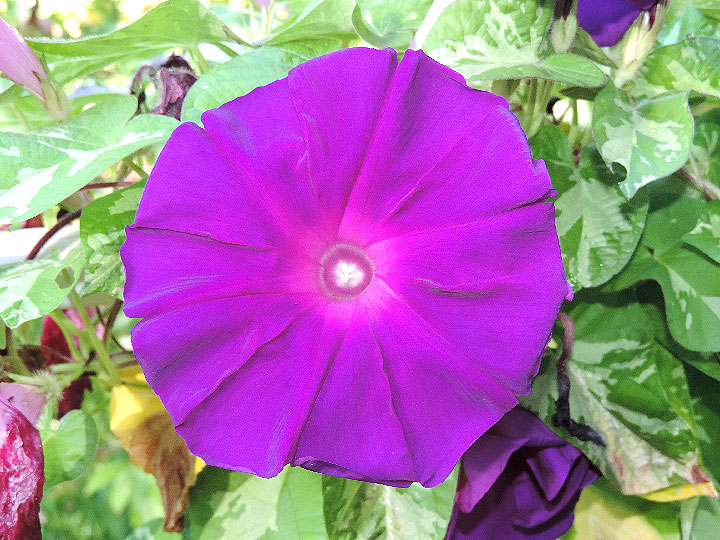 DSCN3245