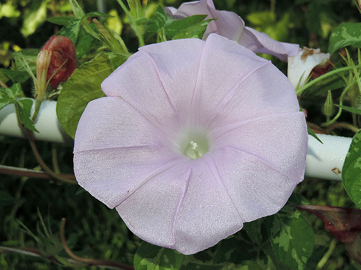 DSCN3247