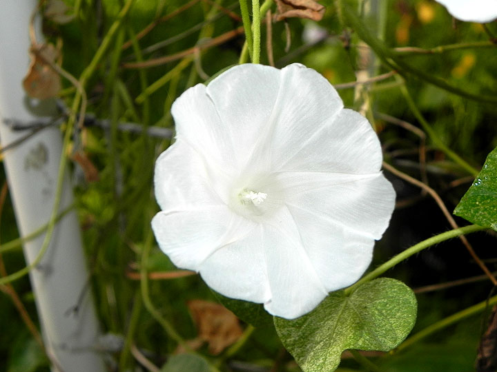 DSCN3282_01