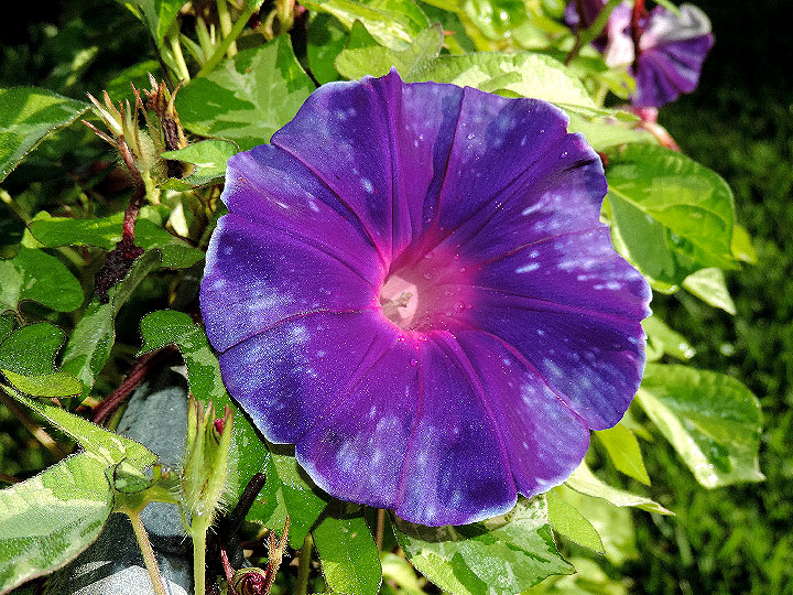DSCN3291
