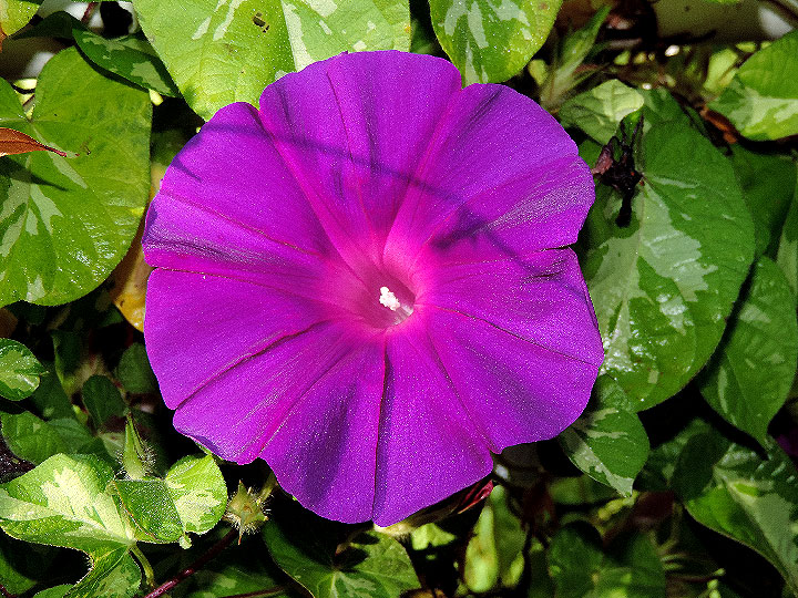DSCN3328