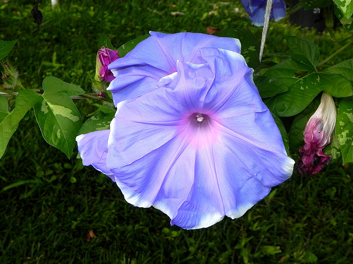 DSCN3332