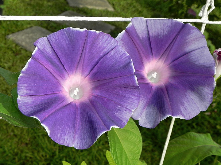 DSCN3348