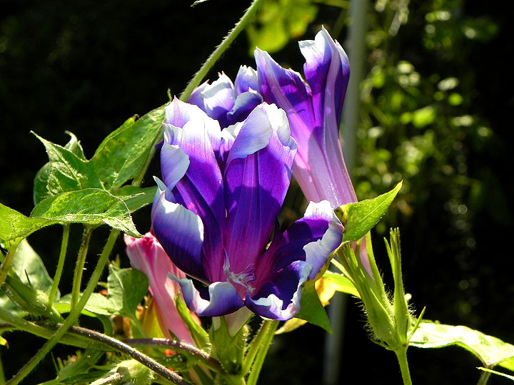 DSCN3350