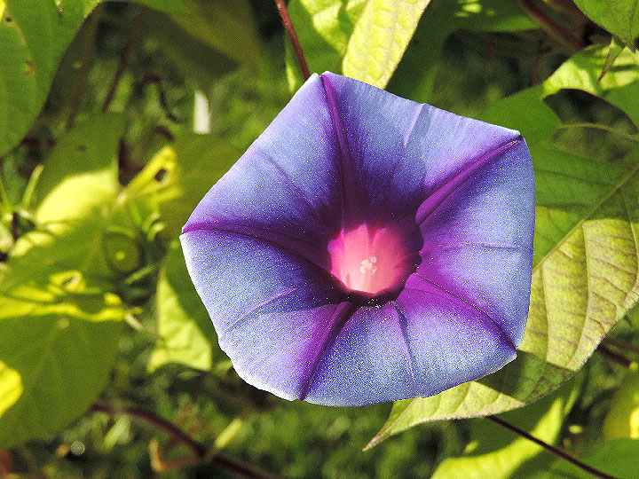 DSCN3363