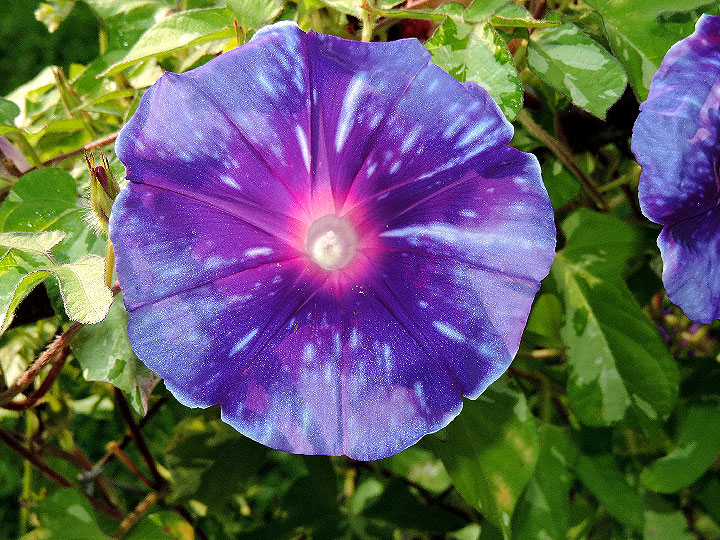 DSCN3385