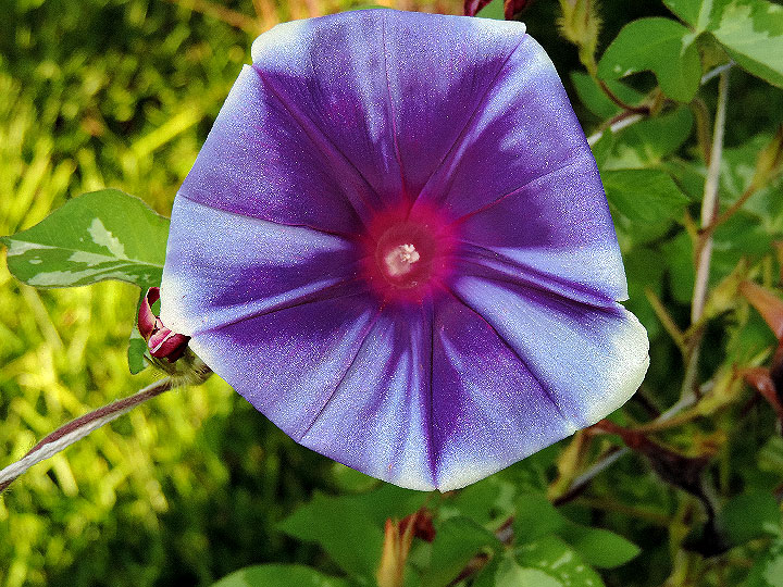DSCN3433