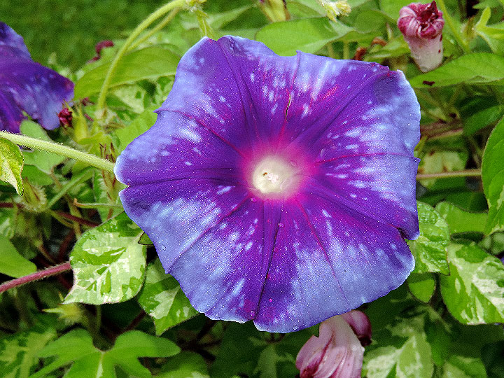 DSCN3468_01