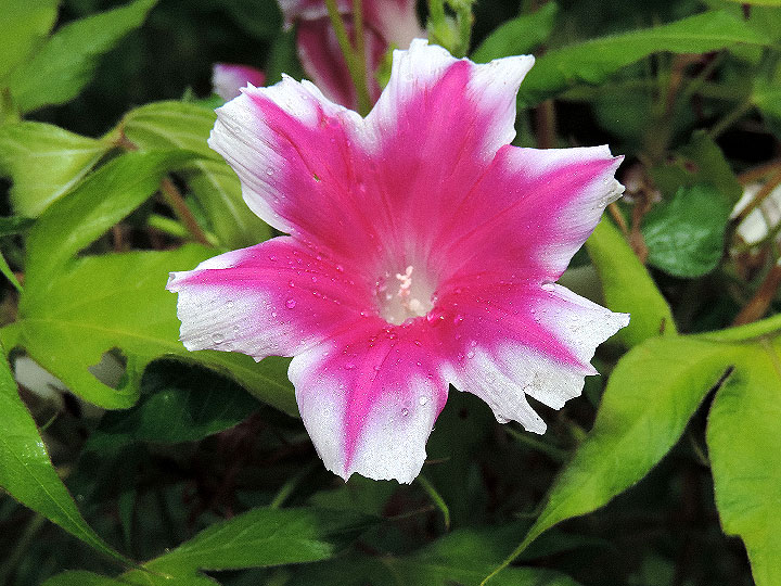 DSCN3482