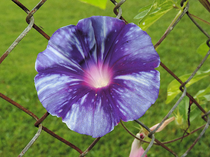 DSCN3549