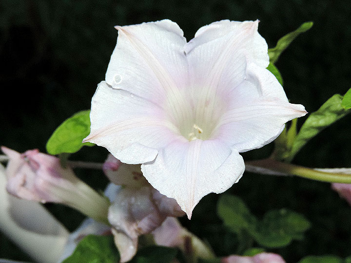 DSCN3562