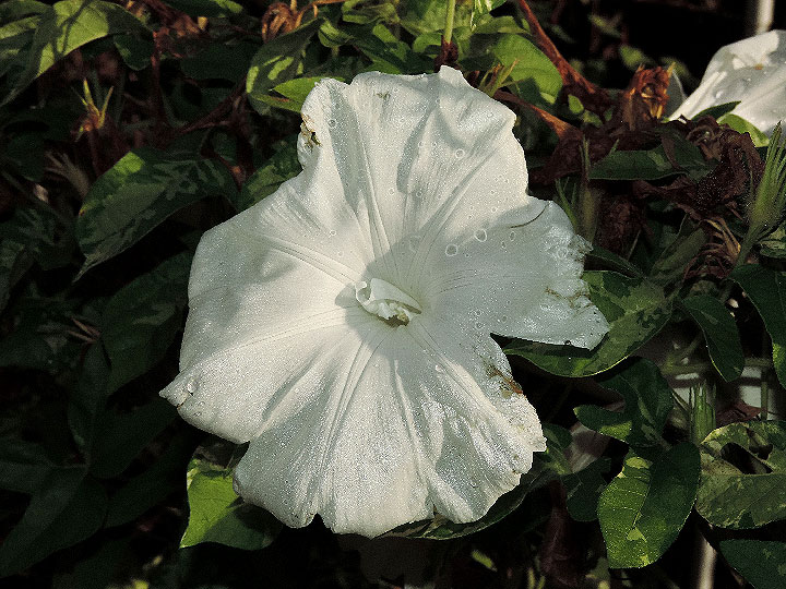 DSCN3615