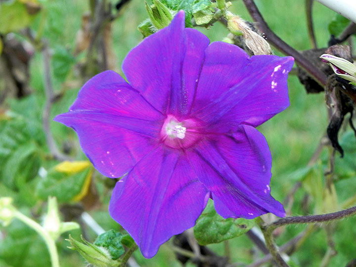 DSCN3672