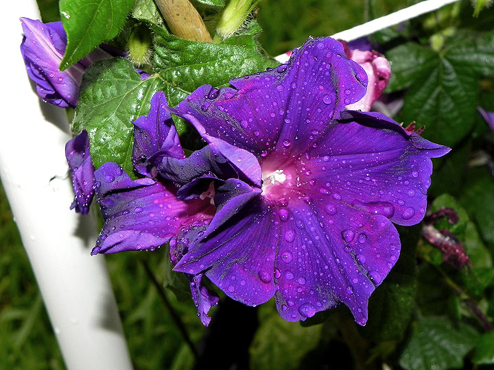 DSCN3714