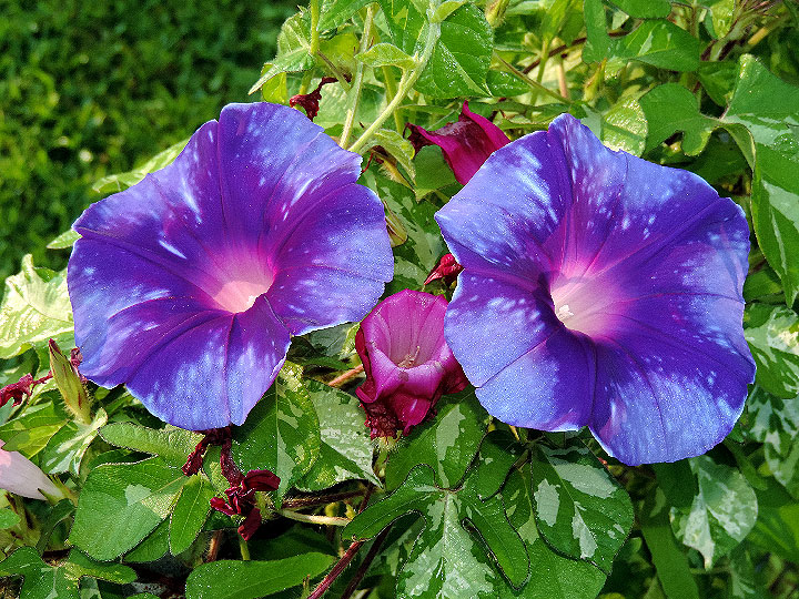 DSCN3740
