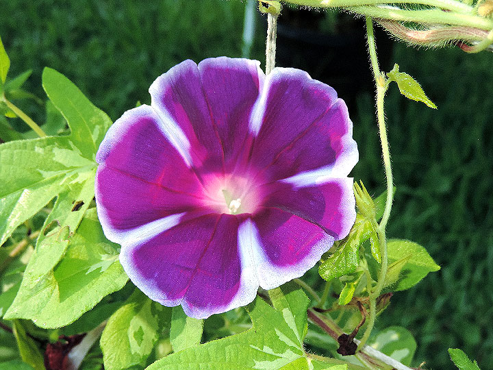 DSCN3777