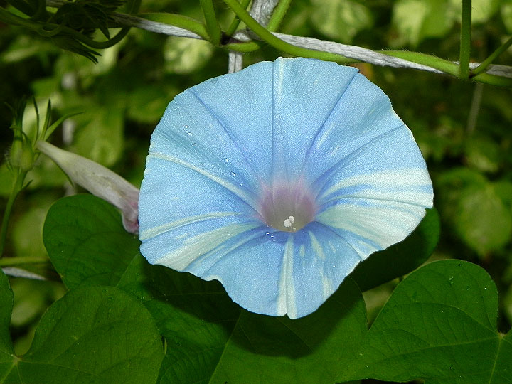 DSCN3782