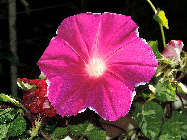DSCN3804