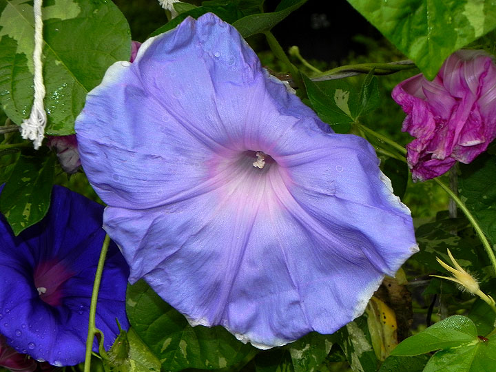 DSCN3951_01