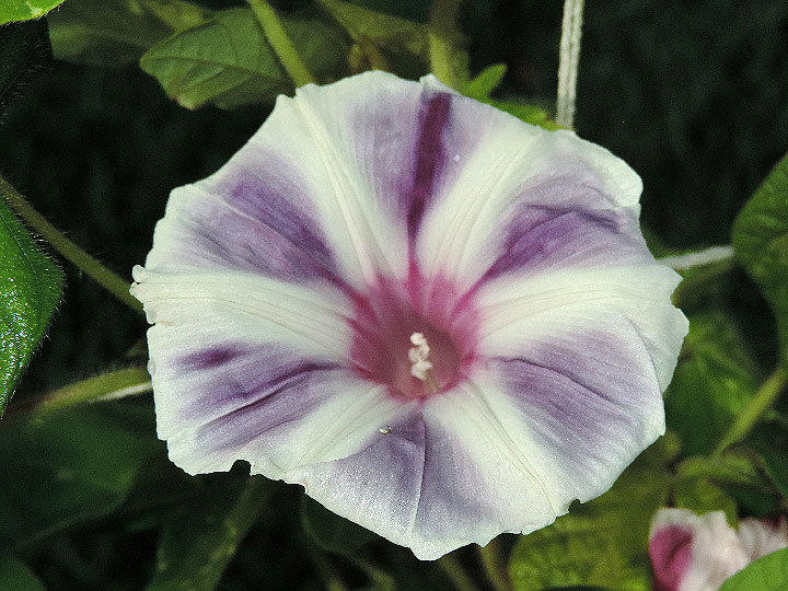 DSCN3953_01