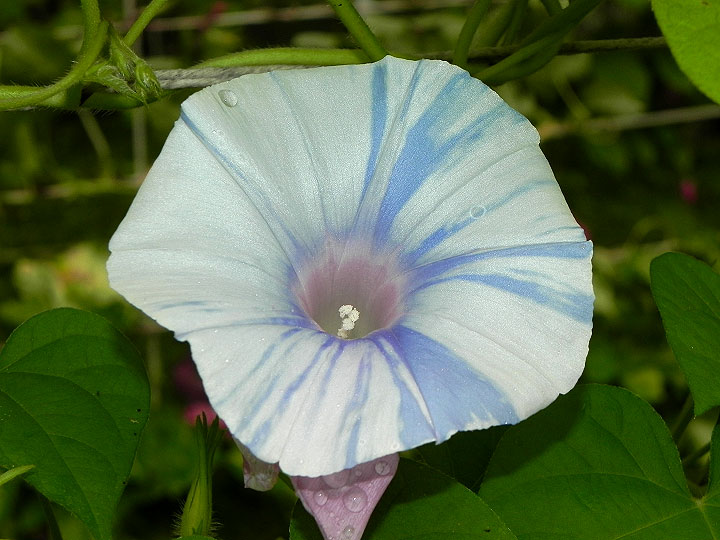 DSCN3954_01