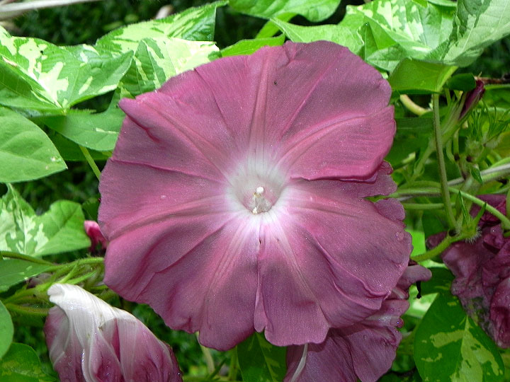 DSCN3957_01