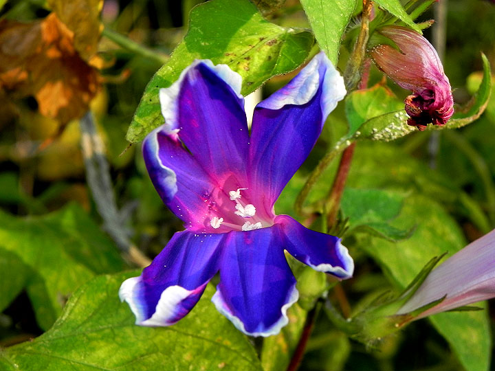 DSCN3959_01