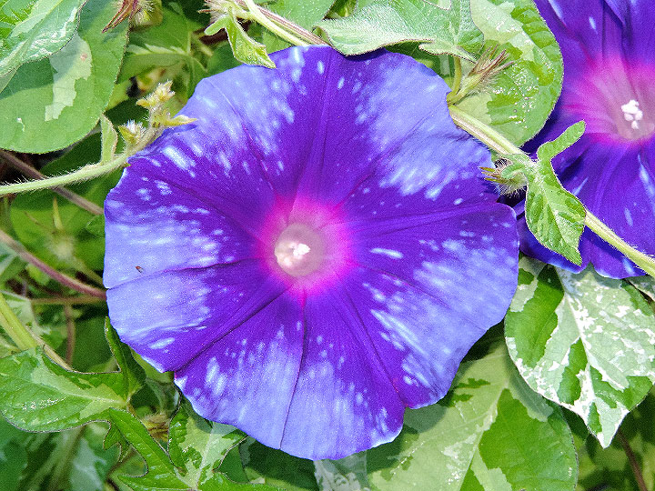 DSCN4008